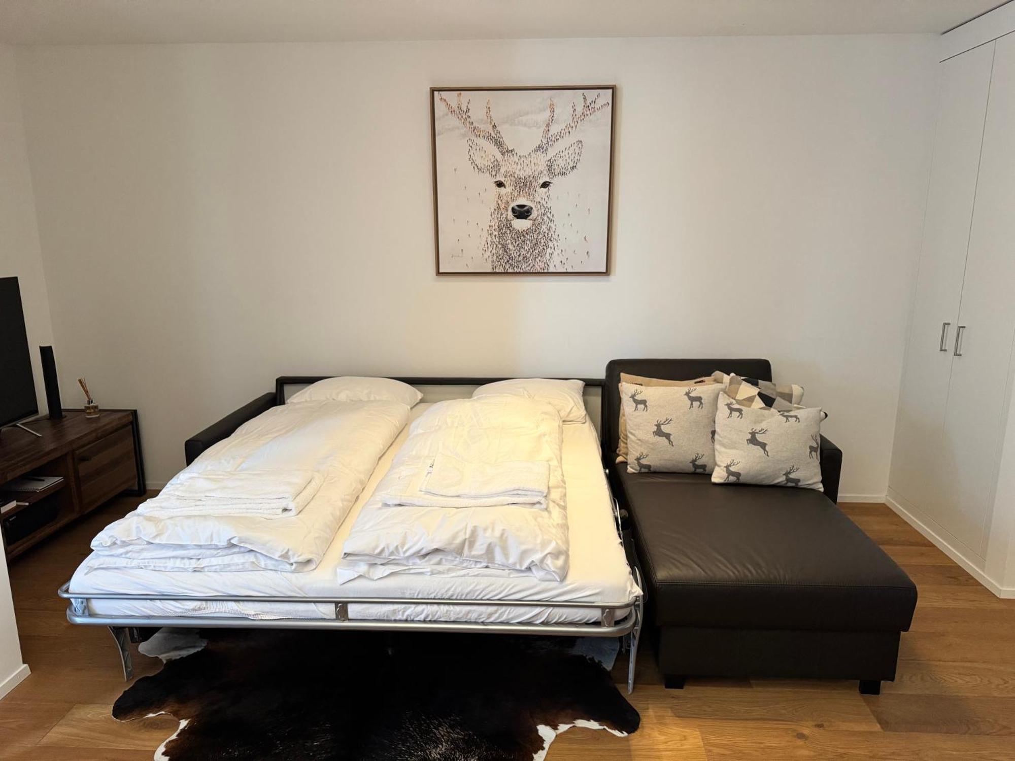 Beautiful Sunny New 1 Bed Apt Flims Exterior photo
